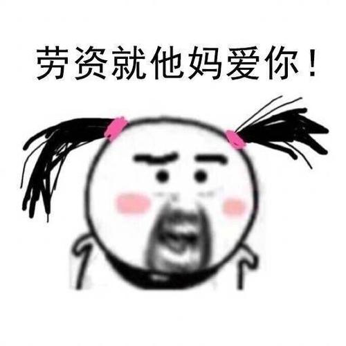劳资就他妈爱你！
