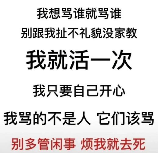我想骂谁就骂谁 别跟我扯不礼貌没家教 我就活一次 我只要自己开心 我骂的不是人它们该骂 别多管闲事烦我就去死