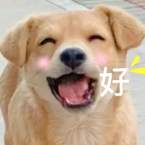 好 好