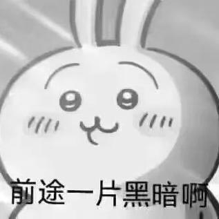 前途一片黑暗啊