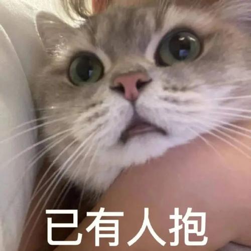 已有人抱