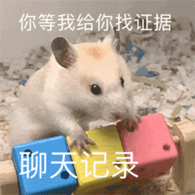 你等我给你找证据 聊天记录