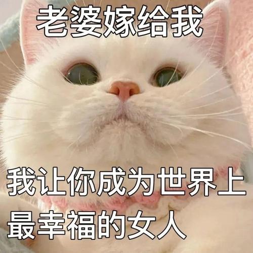 老婆嫁给我 我让你成为世界上 最幸福的女人
