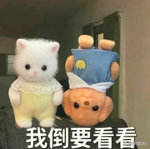我倒要看看 情MV