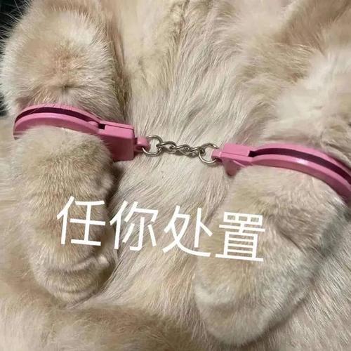 任你处置