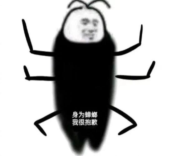 身为蟑螂 我很抱歉