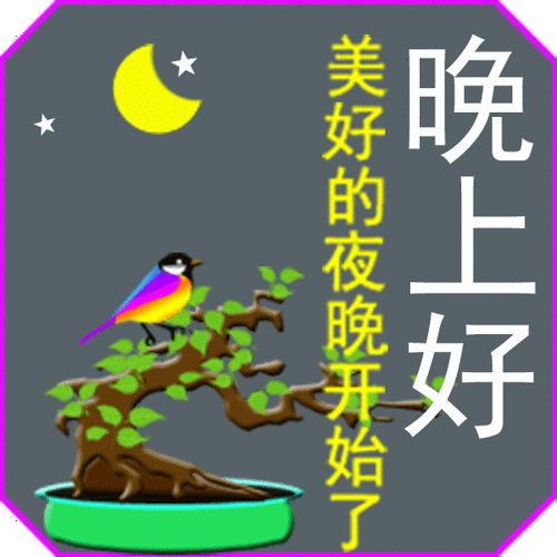 晚 美好的夜晚开始了 上好