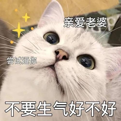 亲爱老婆 尝试逗你 不要生气好不好