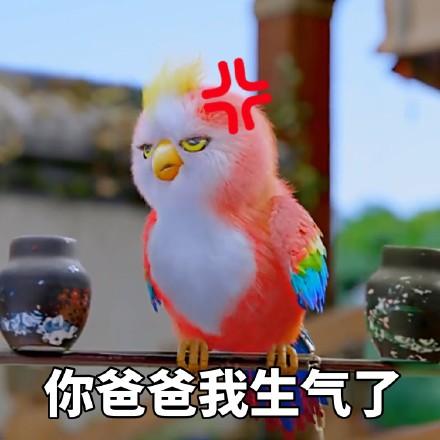 你爸爸我生气了