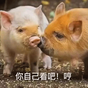 你自己看吧！哼