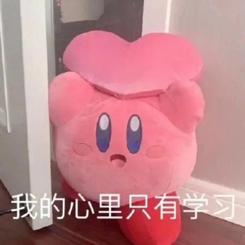 我的心里只有学习