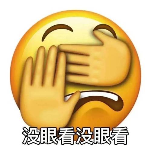 没眼看没眼看