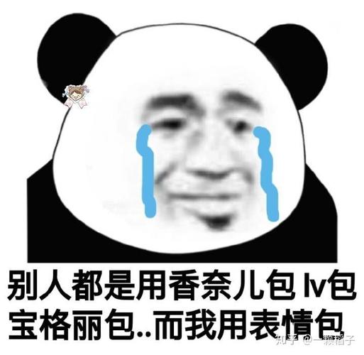 别人都是用香奈儿包IV包 宝格丽包..而我用表情包