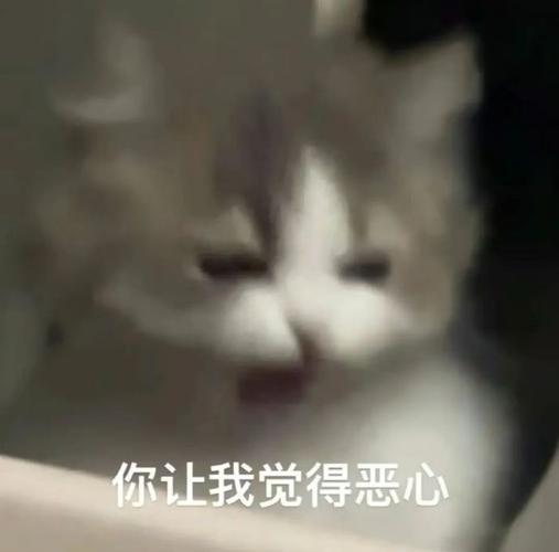 你让我觉得恶心