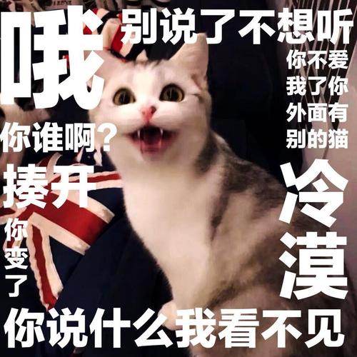 别说了不想听 你不爱 我了你 外面有 你谁啊 别的猫 搂开 冷漠 你变 你说什么我看不见