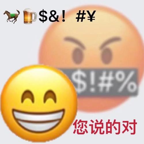 $&！#￥ $!#% 您说的对