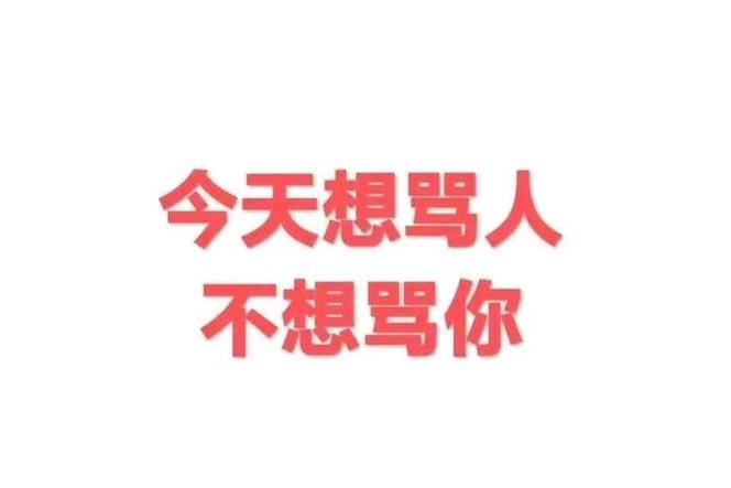 今天想骂人 不想骂你