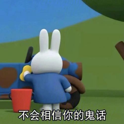 不会相信你的鬼话
