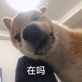 在吗