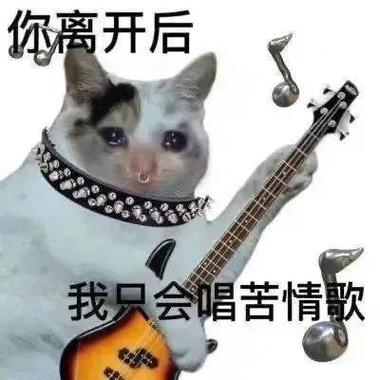你离开后 我只会唱苦情歌