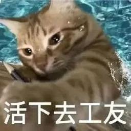 活下去工友