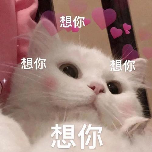想你 想你 想你 想你