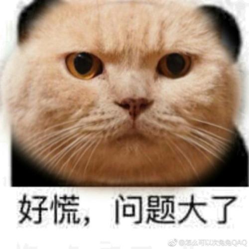 好慌，问题大了