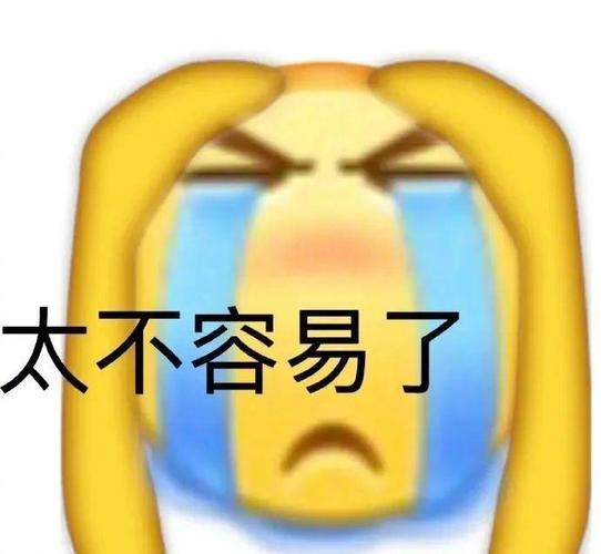太不容易了