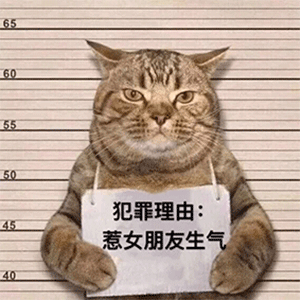 犯罪理由： 慈女朋友生气