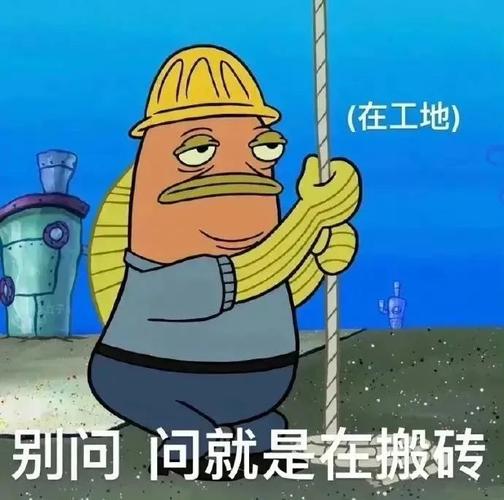 （在工地） 别问 问就是在搬砖