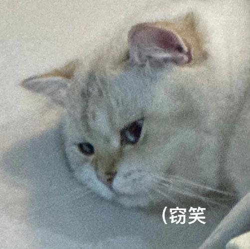 （窃笑