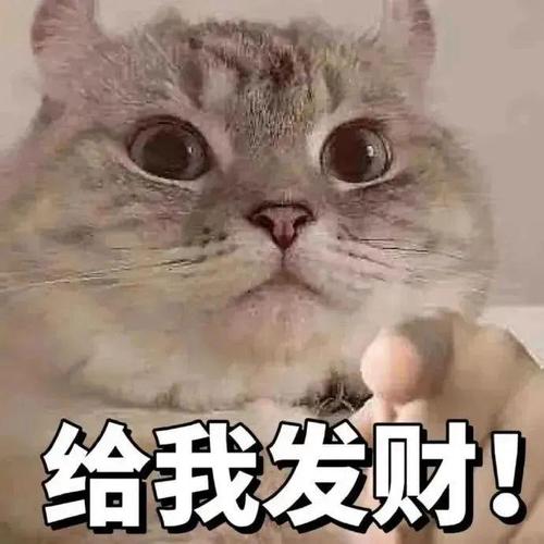 给我发财！