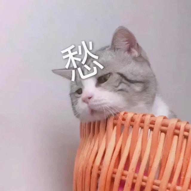 愁