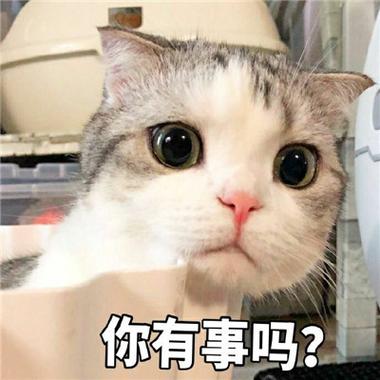 你有事吗？