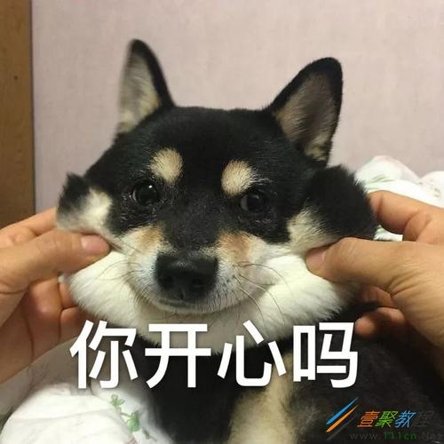 你开心吗 壹聚教