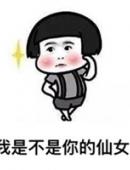 我是不是你的仙女