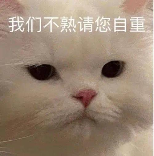 我们不熟请您自重