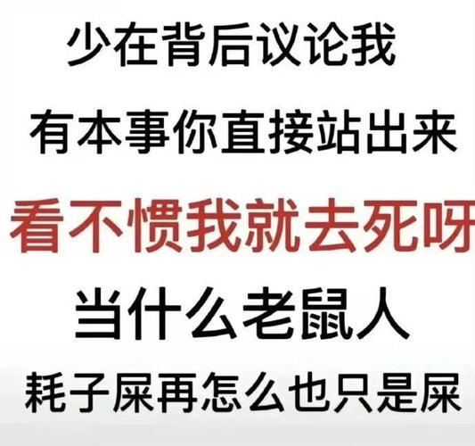 少在背后议论我 有本事你直接站出来 看不惯我就去死呀 当什么老鼠人 耗子屎再怎么也只是屎