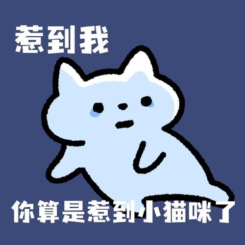 惹到我 你算是惹到小猫咪了