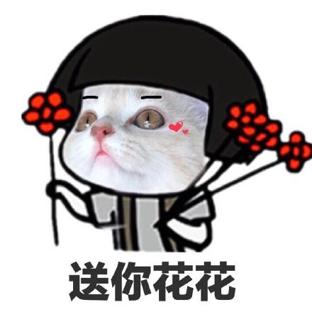 送你花花