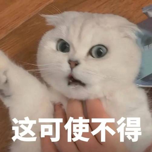 这可使不得