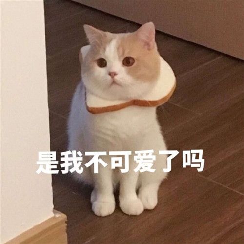 是我不可爱了吗