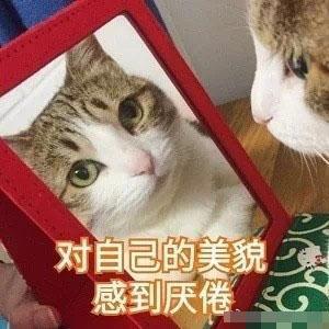 对自己的美貌 感到厌倦