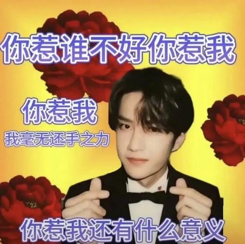 你惹谁不好你惹我 你惹我 我毫无还手之力 你惹我还有什么意义