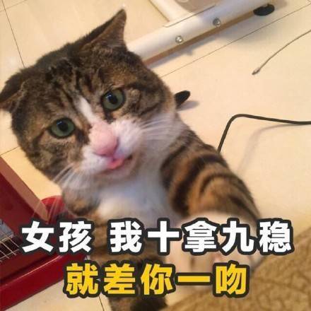 女孩我十拿九稳 就差你一吻