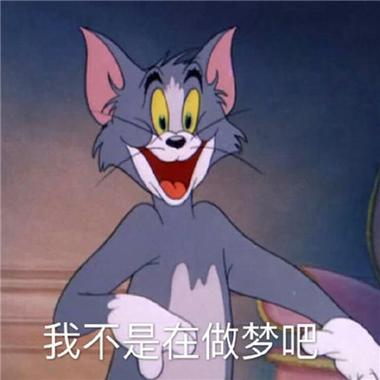 我不是在做梦吧