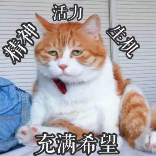 活力 充满希望