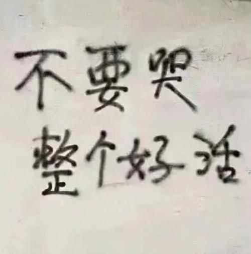 不要哭 整个好活