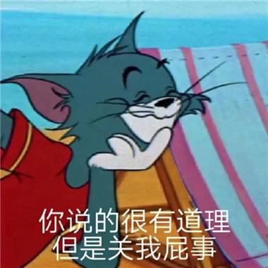你说的很有道理 但是关我屁事