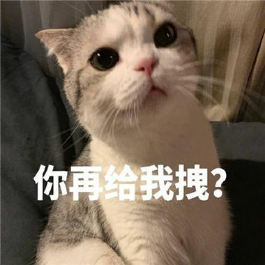你再给我拽？